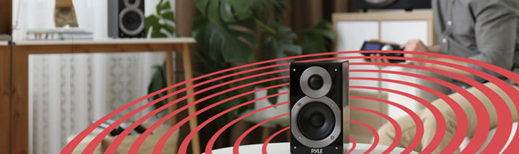 Amps & Speakers