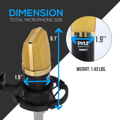 Cardioid Condenser Mic Kit - Crisp Audio, Large Diaphragm, Easy Setup