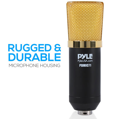 Cardioid Condenser Mic Kit - Crisp Audio, Large Diaphragm, Easy Setup