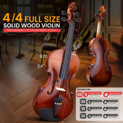 Plywood Violin