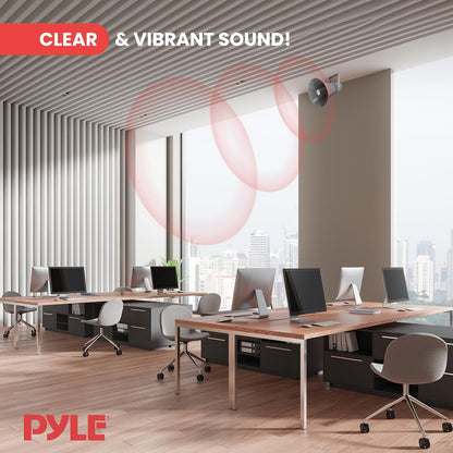 Indoor/Outdoor PA Horn Speaker 30W Loud Sound Aluminum Grey