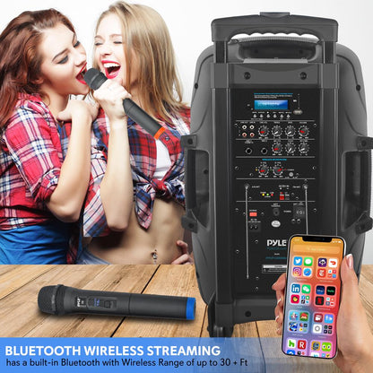 Portable Bluetooth Pa Speaker System