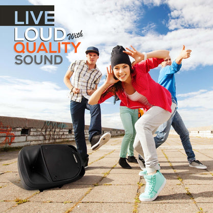 800W Portable Bluetooth PA Speaker, Rechargeable, UHF Mic, 8" Subwoofer