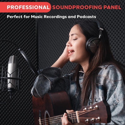 Acoustic Isolation Shield for Optimal Sound, 2" Foam, Charcoal Gray
