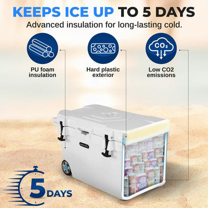 Portable Cooler Box