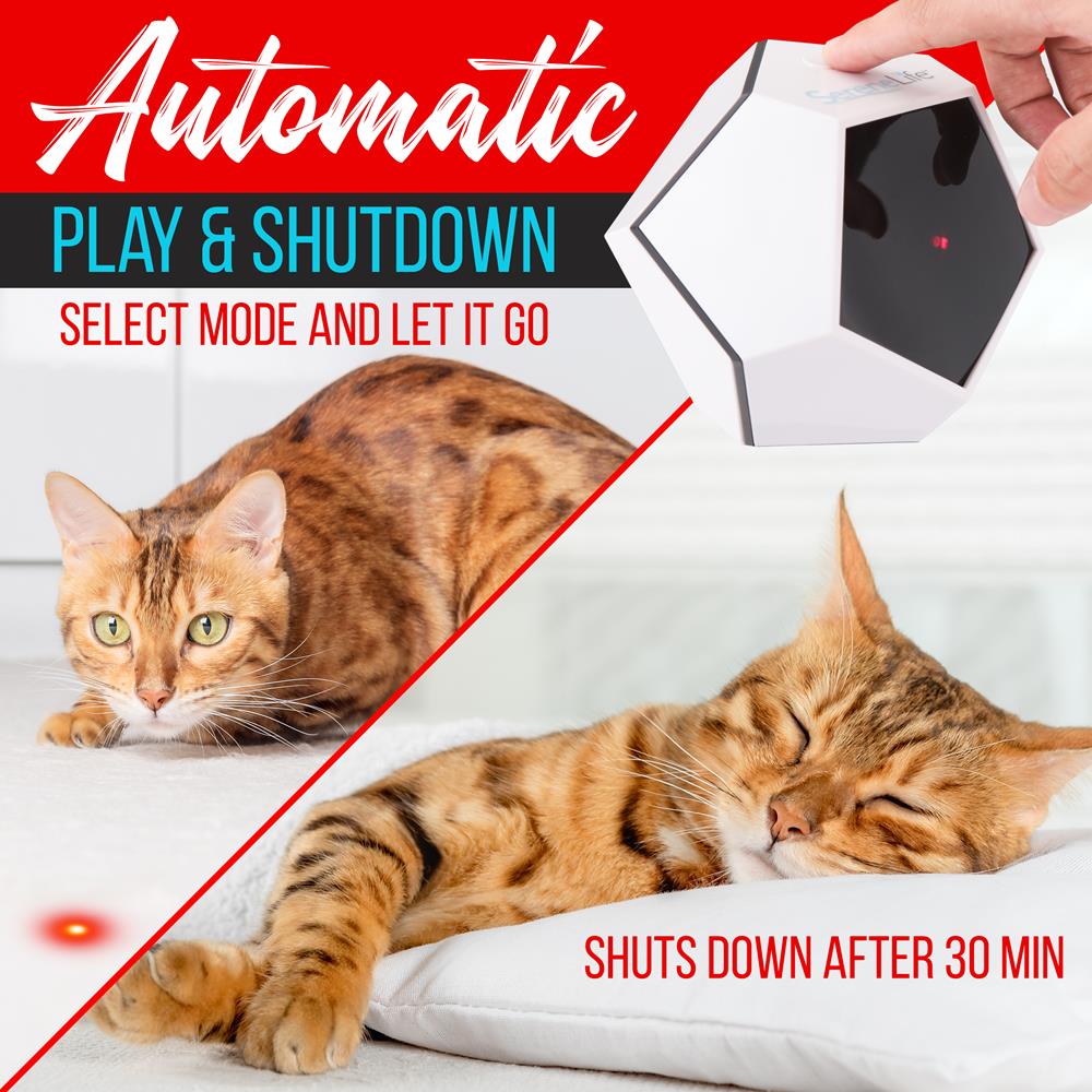 product image number 5 for SereneLife Smart Interactive Pet Laser Pointer Toy