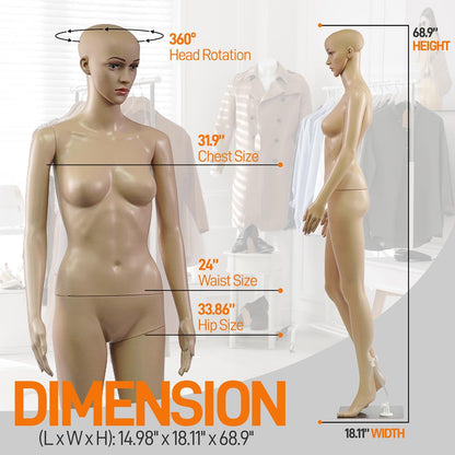 product image number 2 for SereneLife Female Torso Dress Form Mannequin