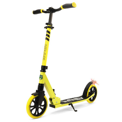 Foldable Kick Scooter